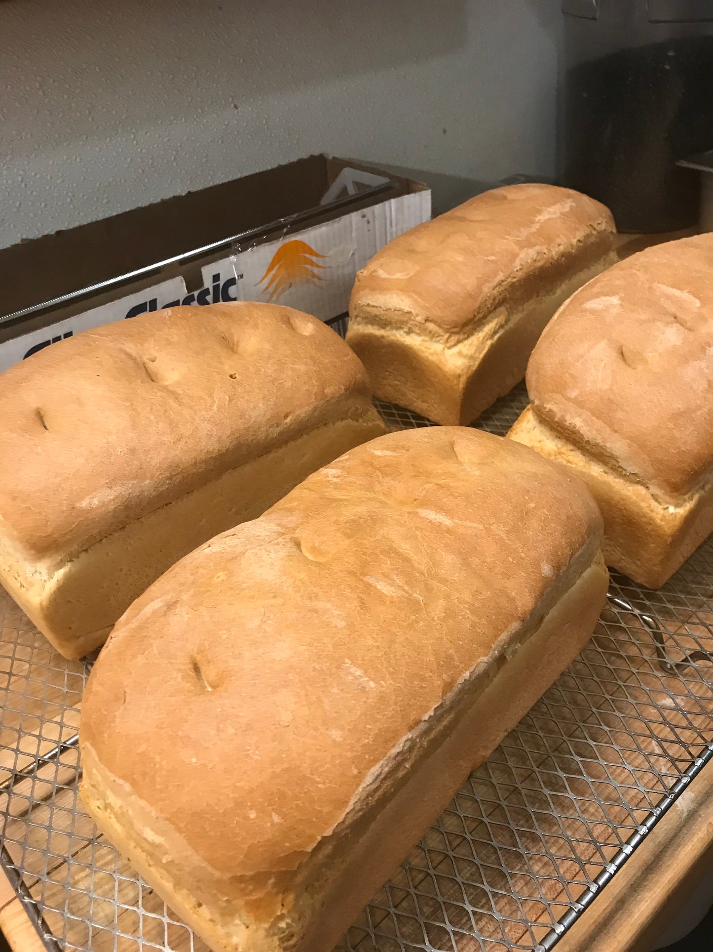 Sandwich Loaves