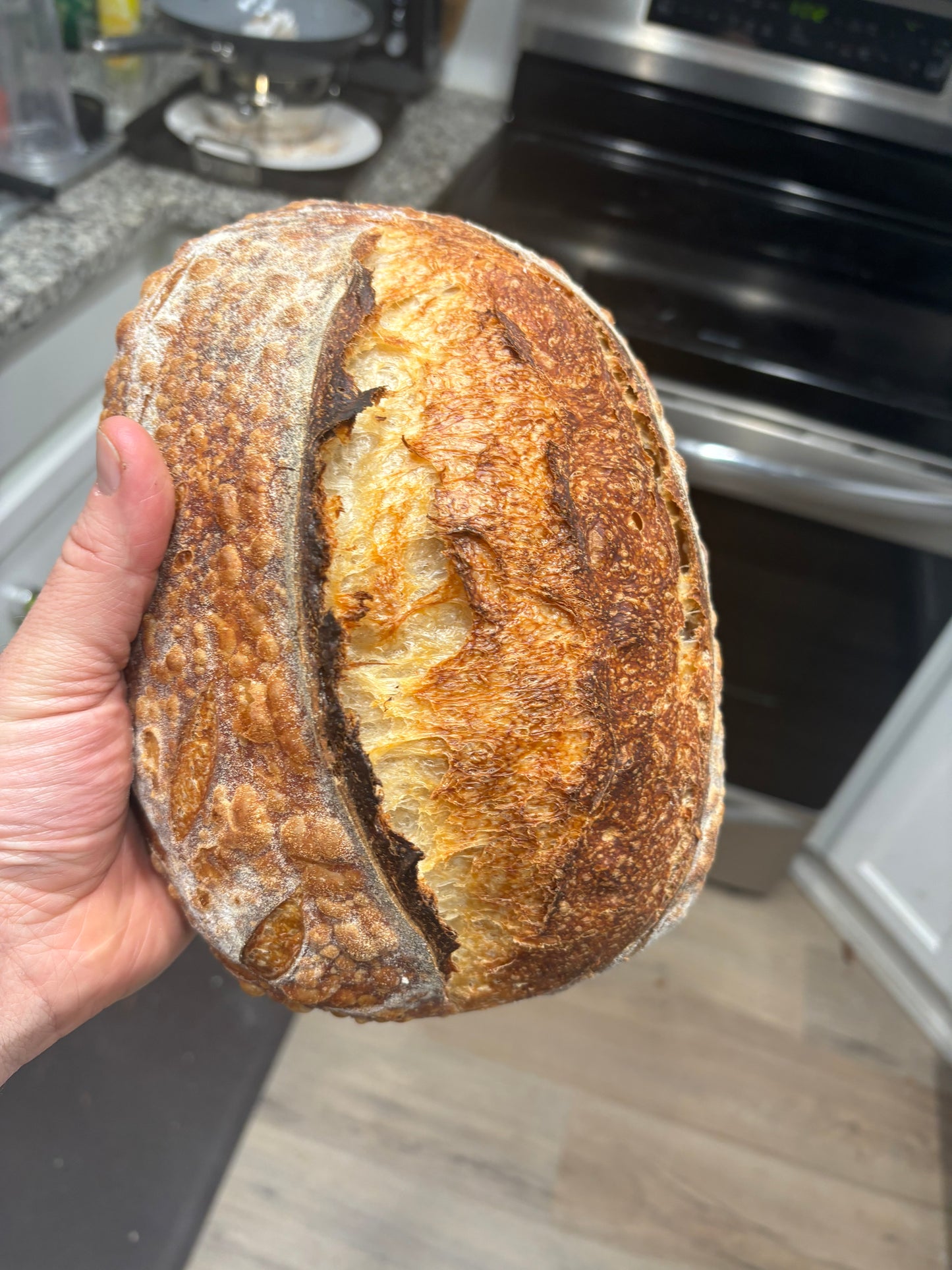 Sourdough Bread