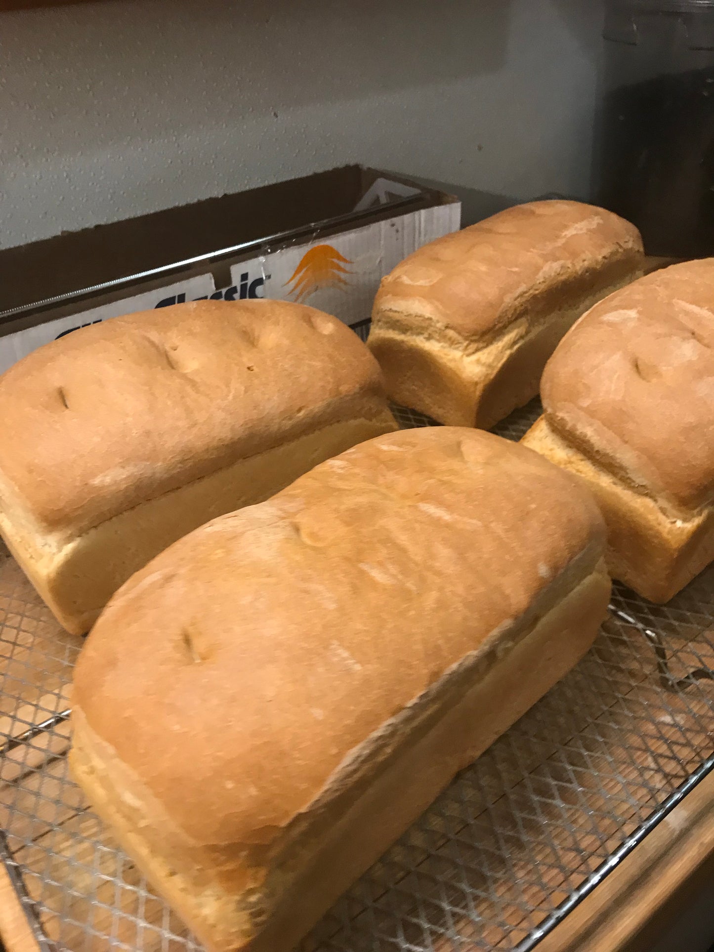 Specialty Loaf