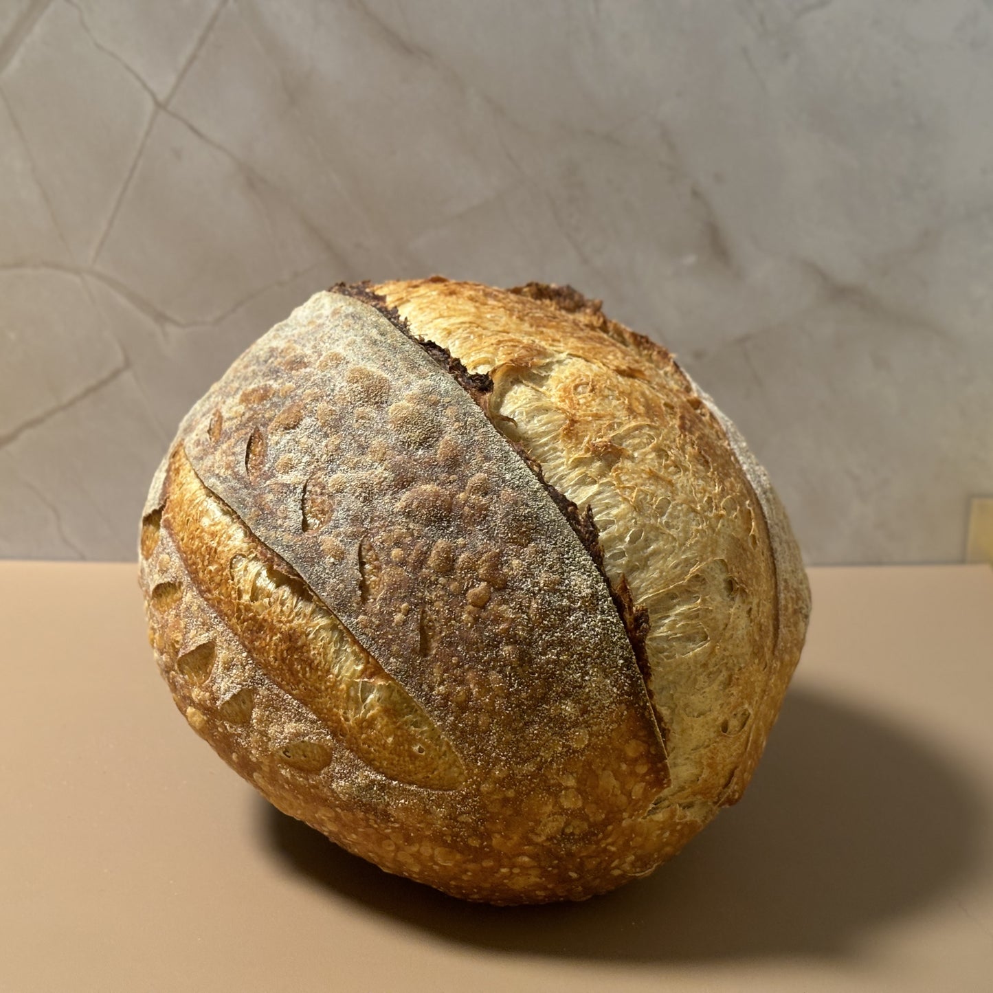 Sourdough Bread